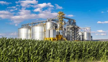 Agro-Processing