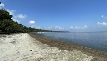 Pilibhit